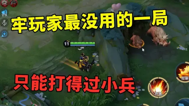 倒反天罡，牢玩家成了队伍里最没用的了
