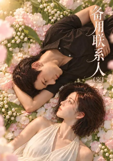 备用联系人(完)